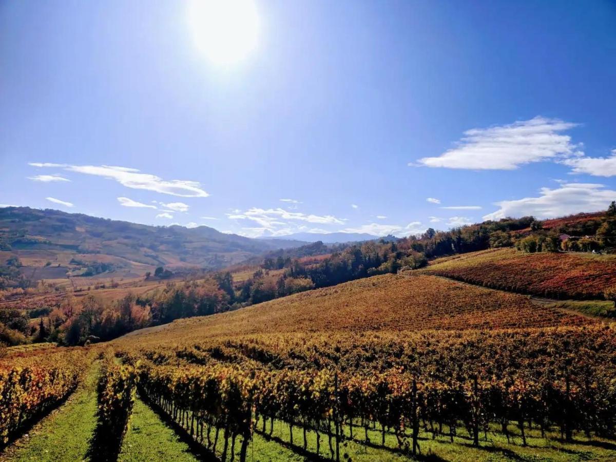 Casa In Campagna Oltrepo' Pavese Montecalvo Versiggia エクステリア 写真